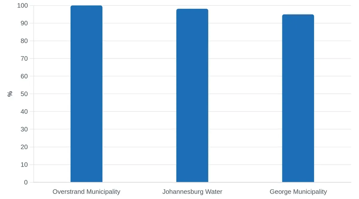 Top-Performing Municipalities by Blue Drop Score