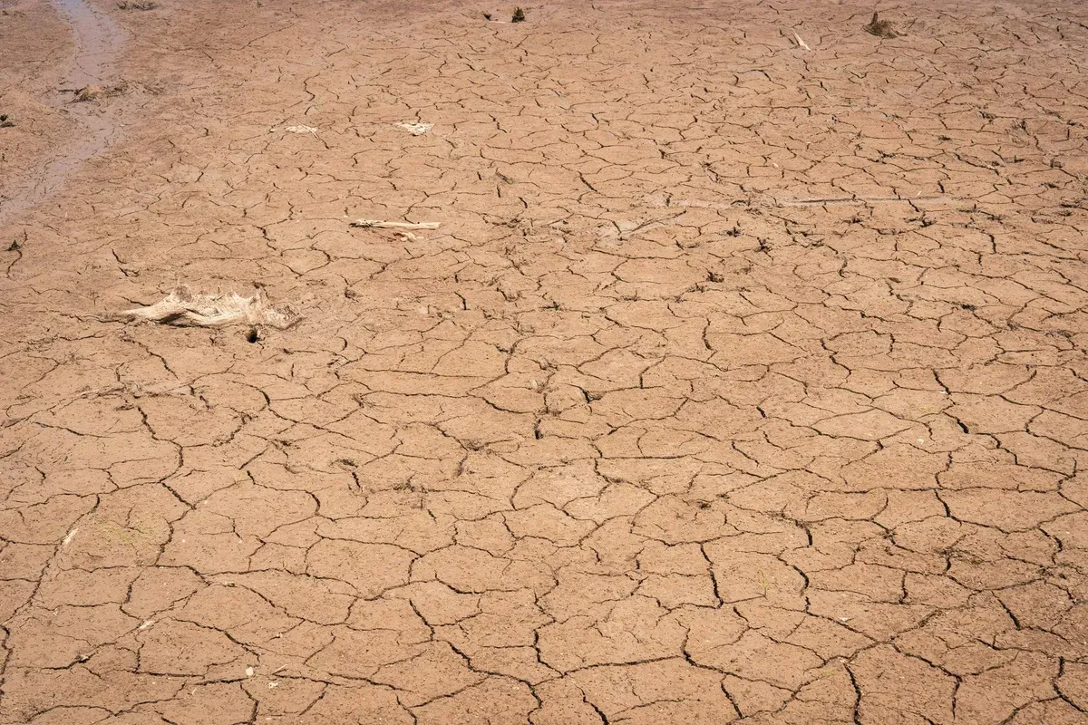 Cracked, desiccated earth bed showing severe drought and water shortage in arid landscape