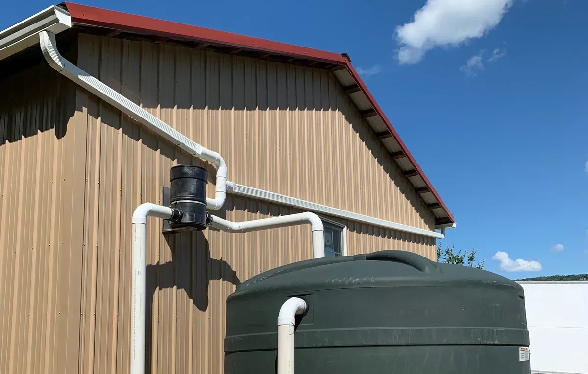 Corrugated metal roof building with white gutters and downpipes connected to black first-flush diverter and green water storage tank